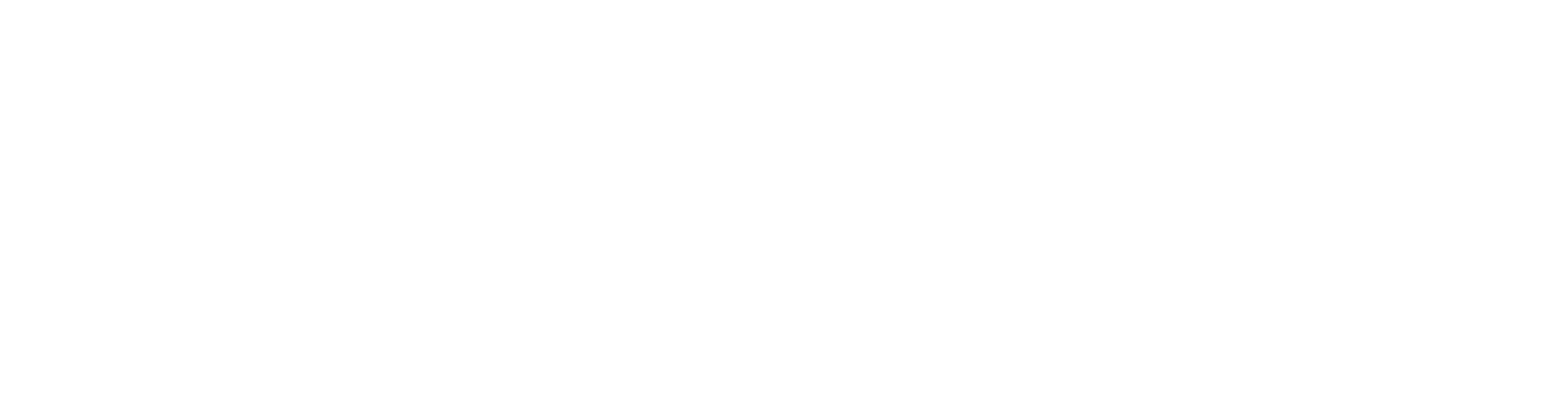 Healthcare Savings Network-logo-ai white-f9a02c